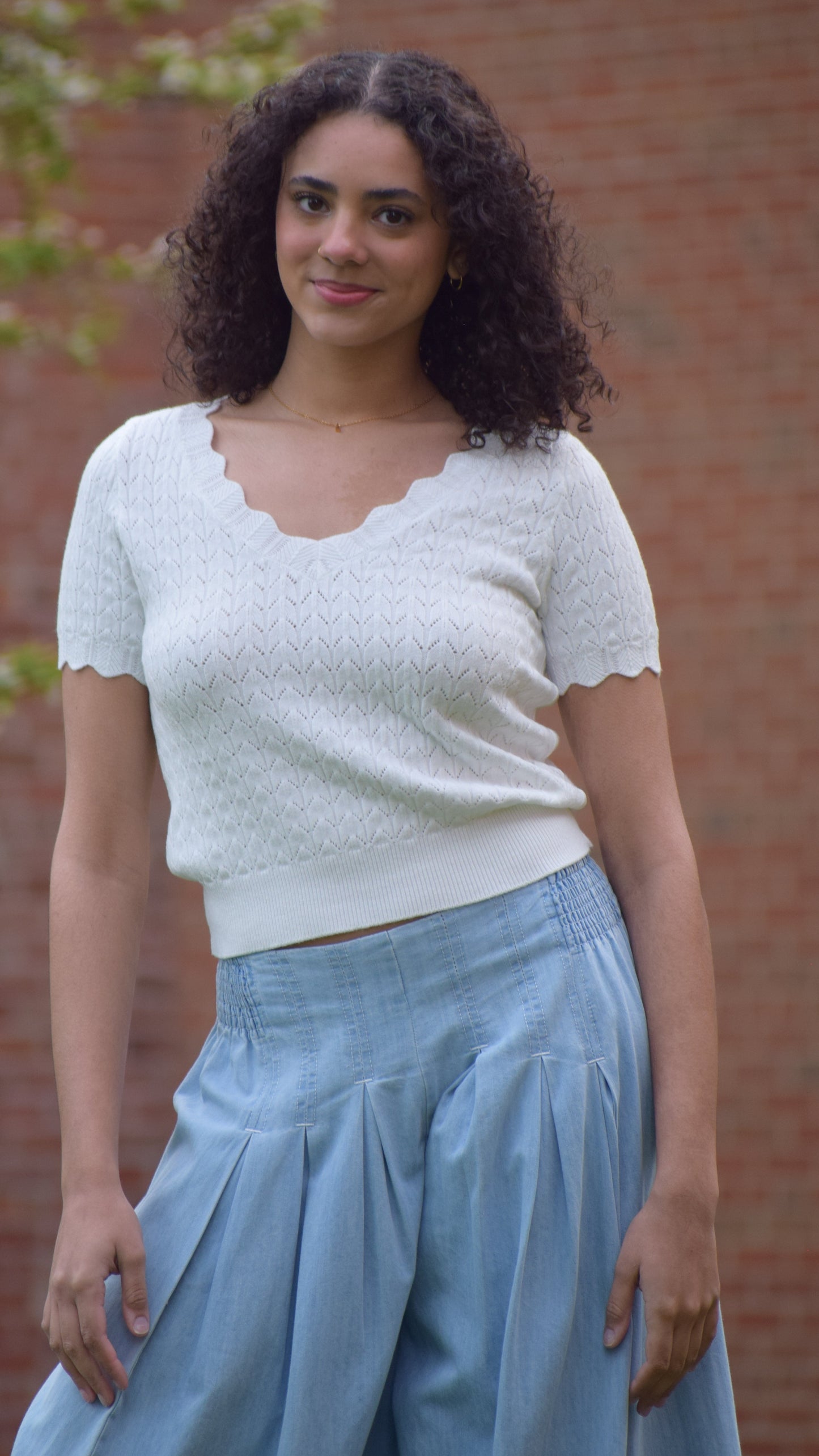 Scallop V Neck Top